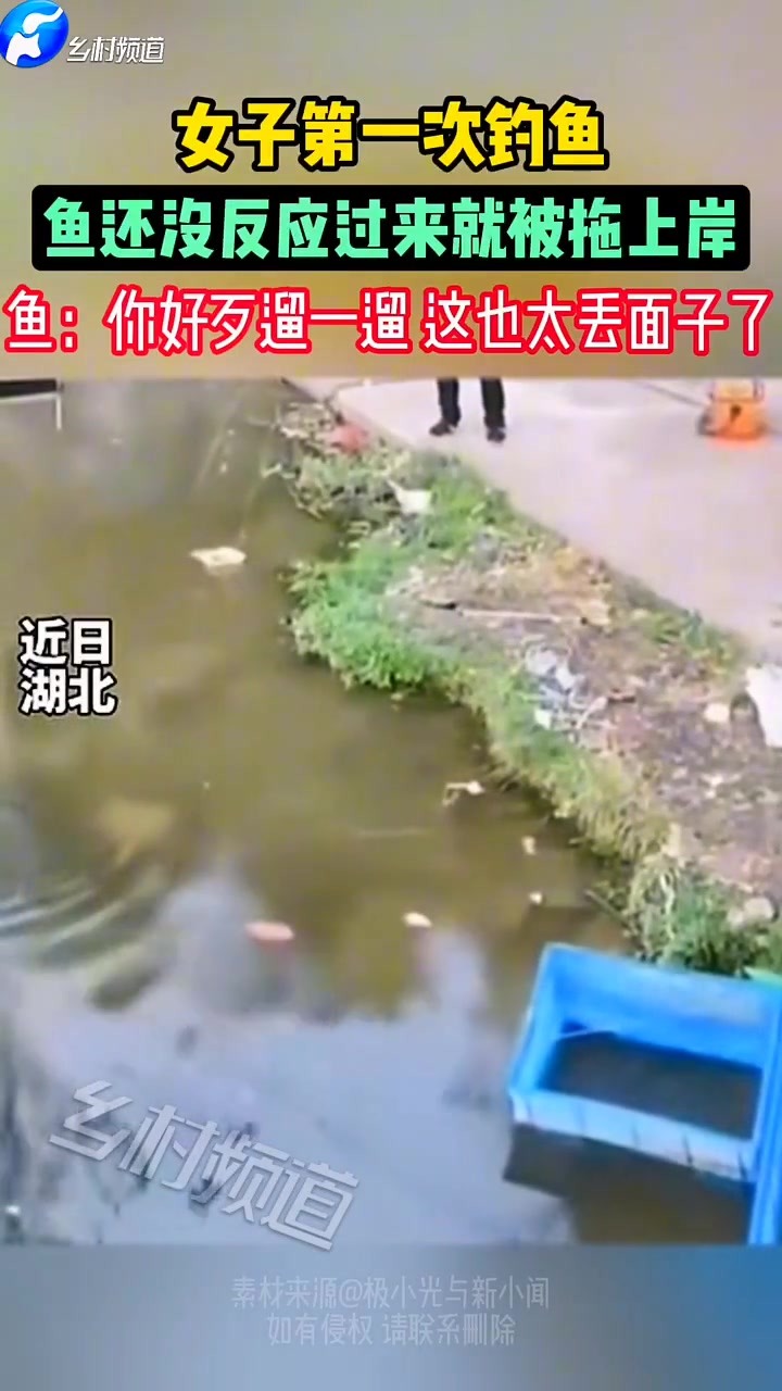 万万想不到女子第一次钓鱼，鱼还没反应过来就被拖上岸