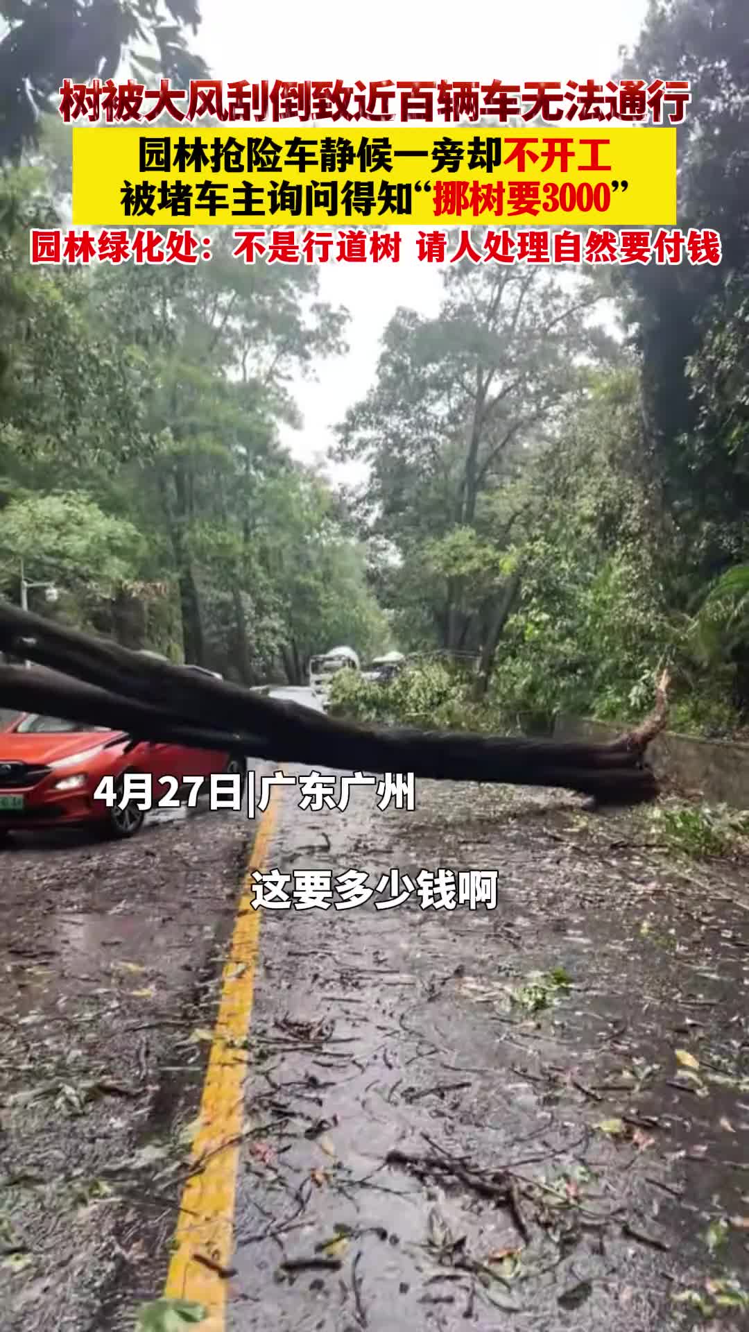 请懂的人出来解释一下，这种情况应该找谁挪树啊？