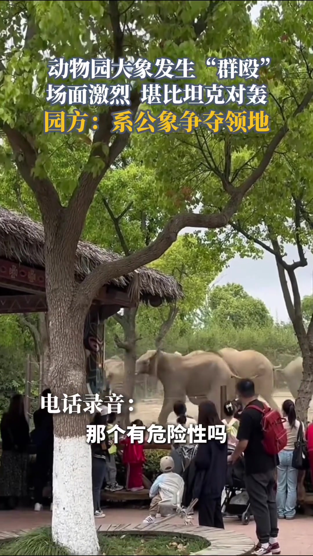 动物园发生大象“群殴”，场面激烈堪比坦克对轰