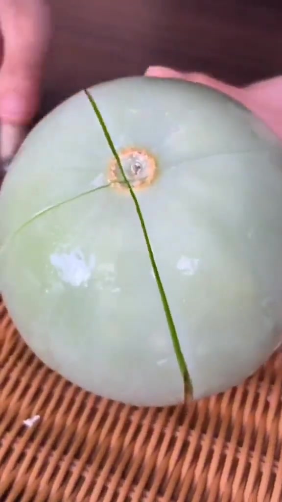 吧友们来看看这是什么瓜？