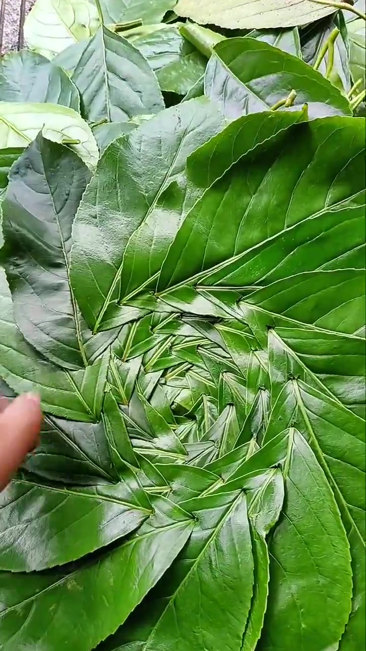 编的一流！高手在民间