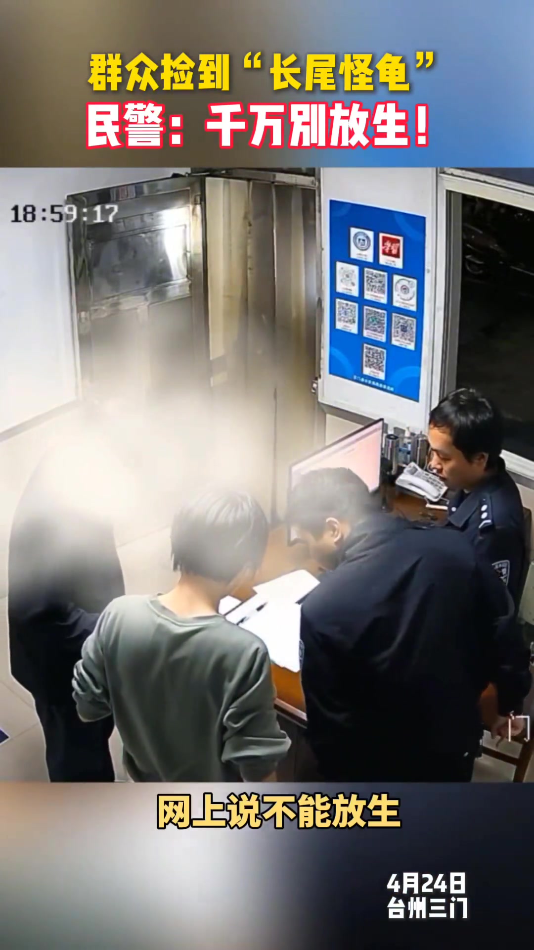 见到这种“长尾怪龟”，千万别放生！
