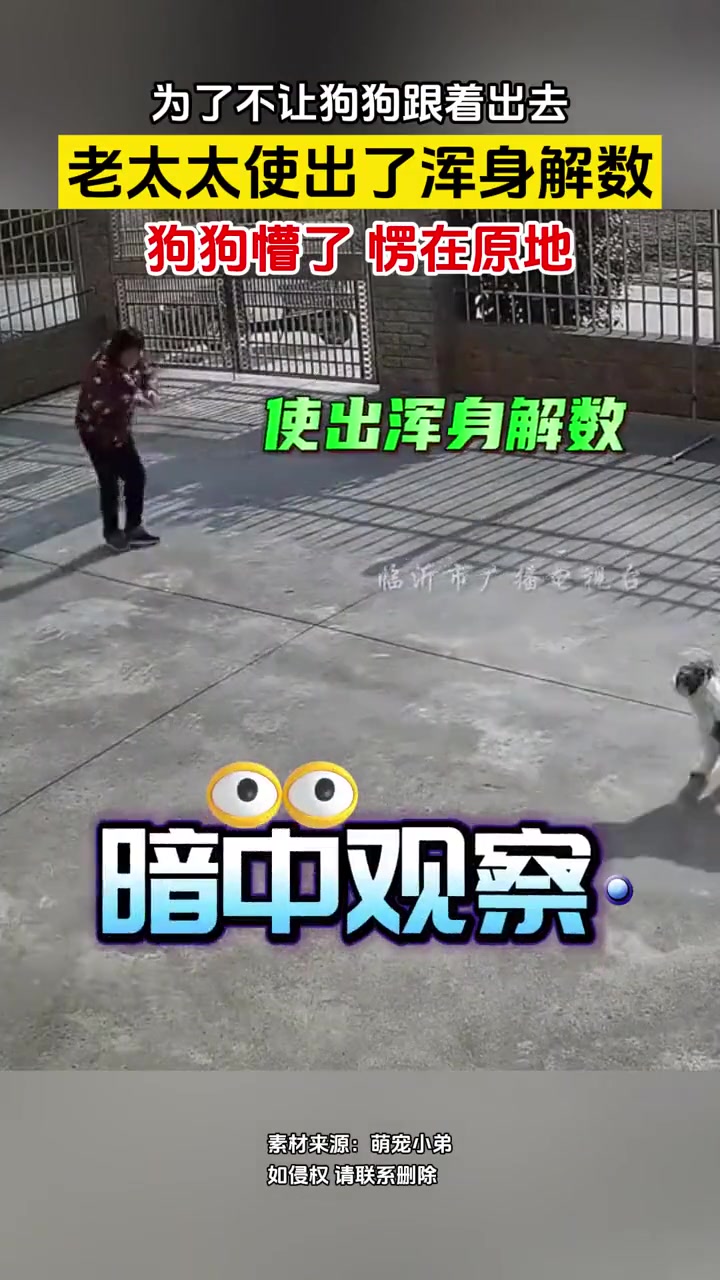 为了不让狗狗跟着出去，老太太使出了浑身解数