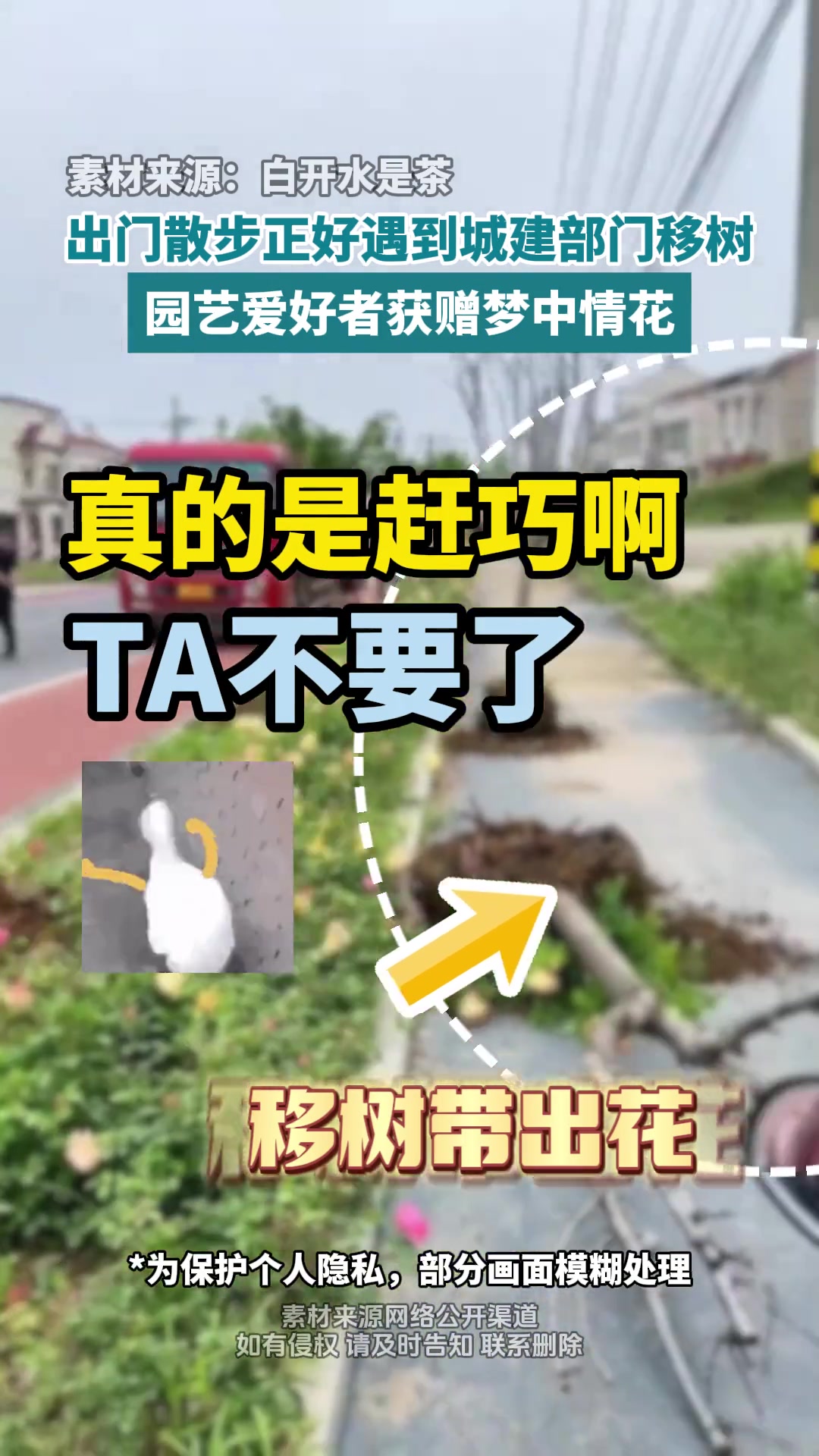 最满载而归的一集