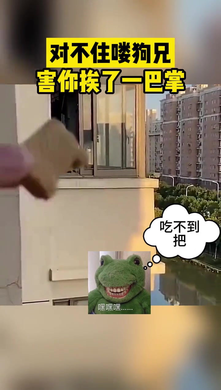 对不住了狗兄，没吃到不说，还害你挨了一巴掌