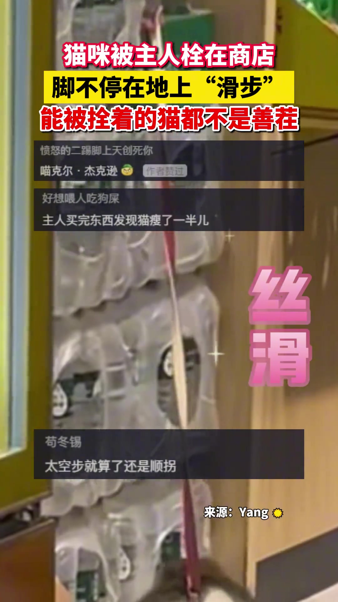 哈哈...猫咪竟然也会“滑步”了！