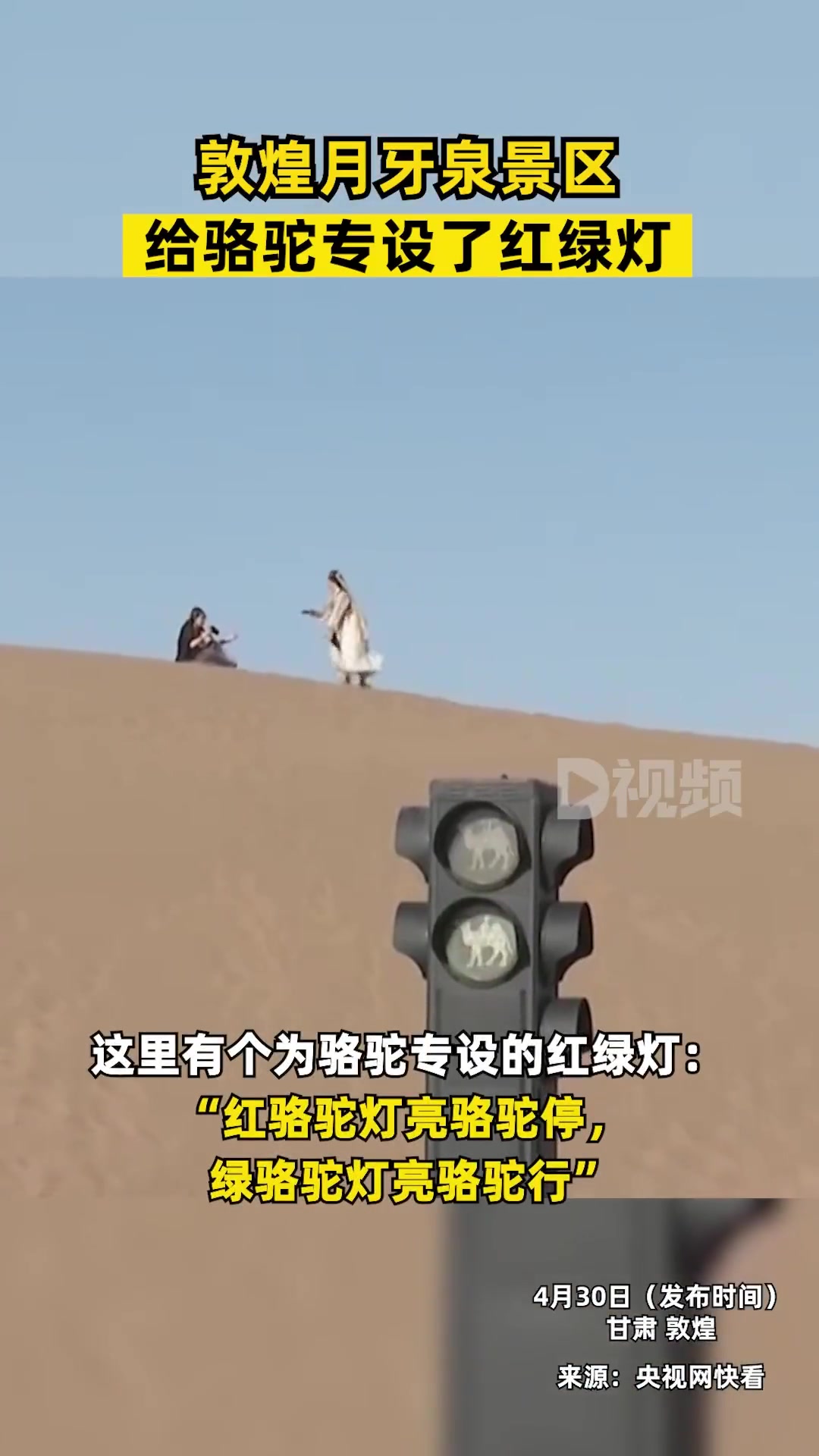 这个红绿灯是给人看的还是给骆驼看的？