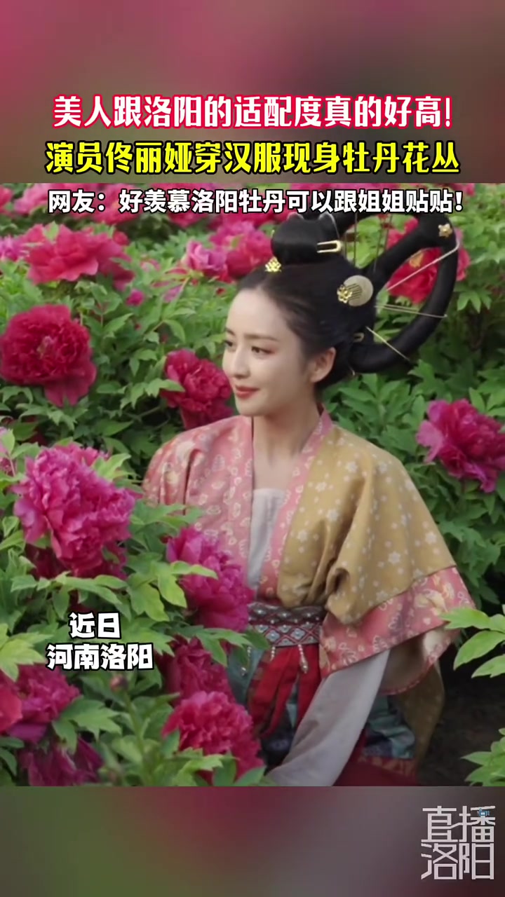 美人跟洛阳的适配度真的好高！