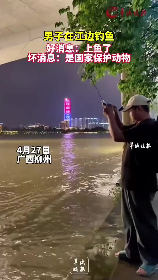 好消息：上鱼了，坏消息：是国家保护动物