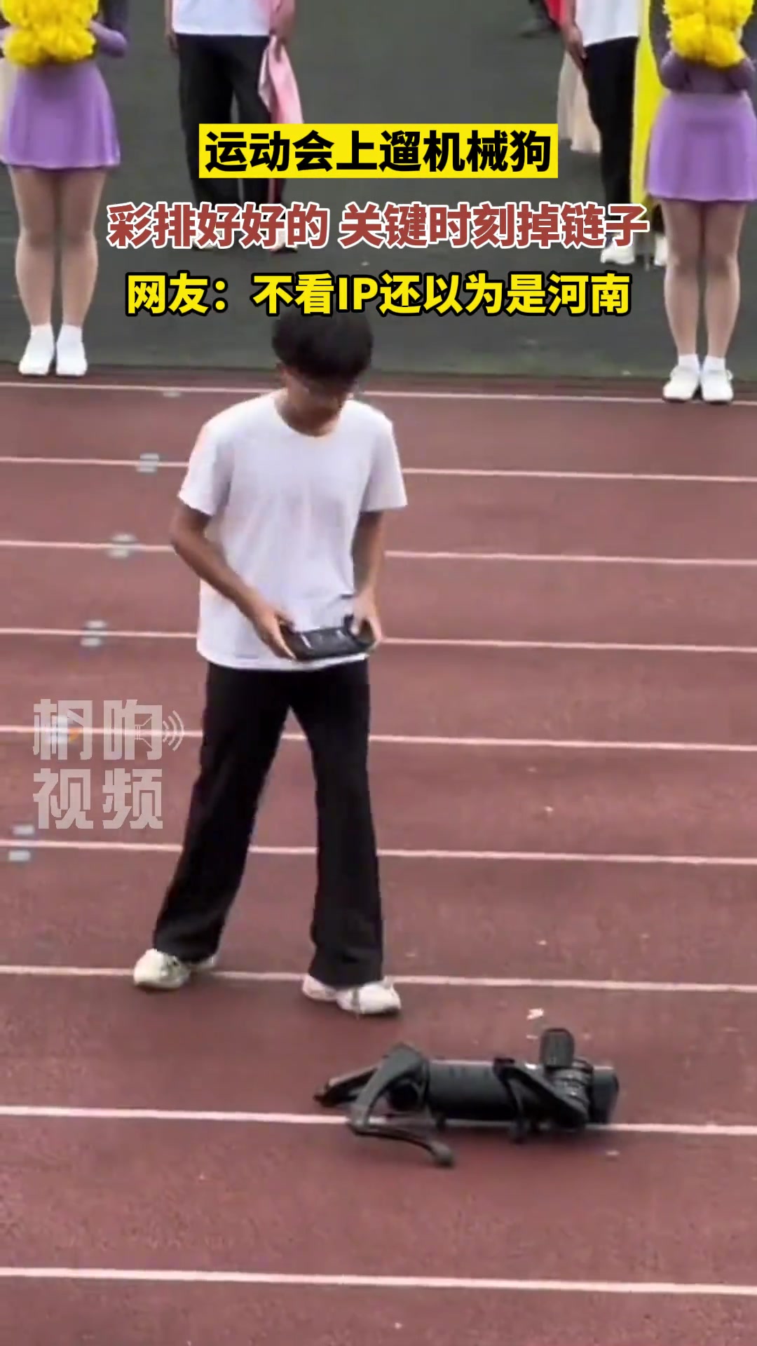 运动会上俩机械狗双双趴窝，“彩排好好的，一用就趴窝”
