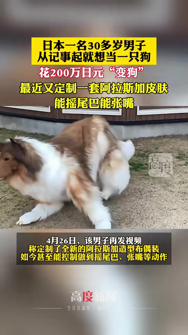 日本一男子从记事起就想当一条狗，花200万日元变狗
