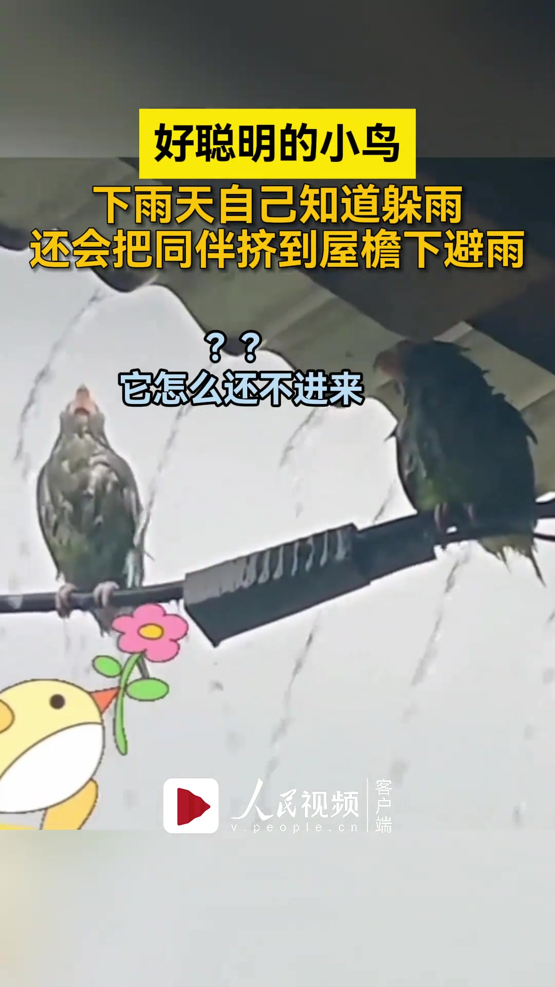 这也太聪明了吧！