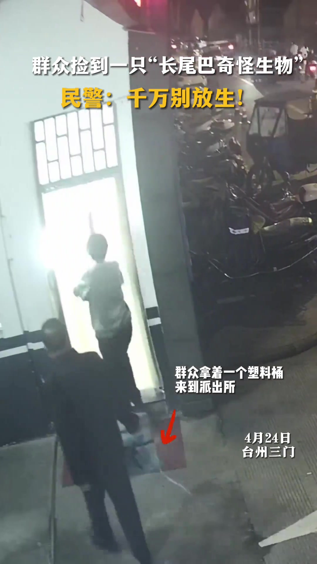 捡到这种生物千万不能随意放生！