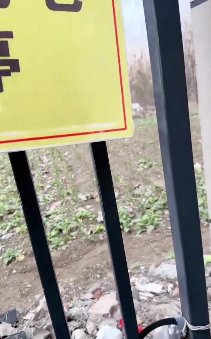 这个车主格局大