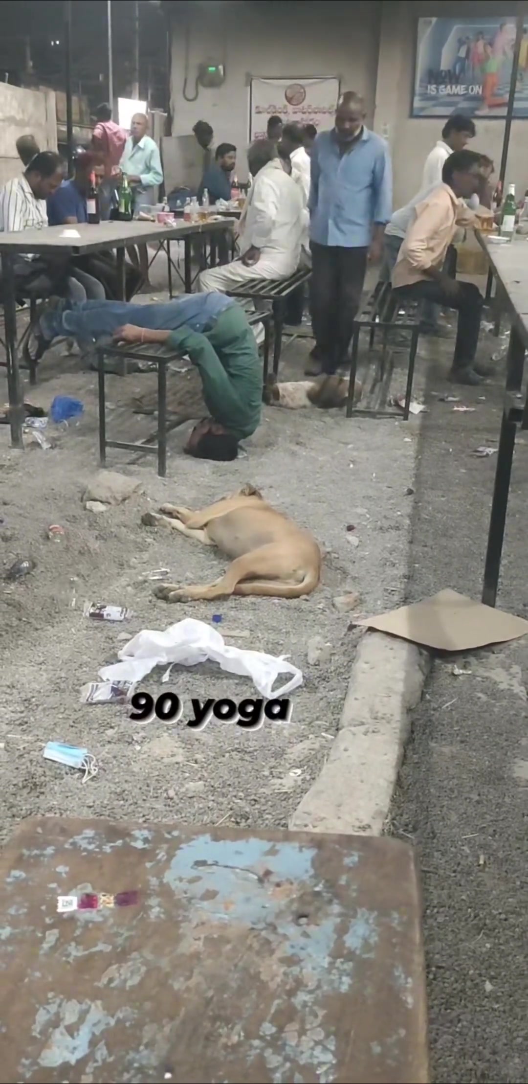 主角太多一时间不知道该看谁