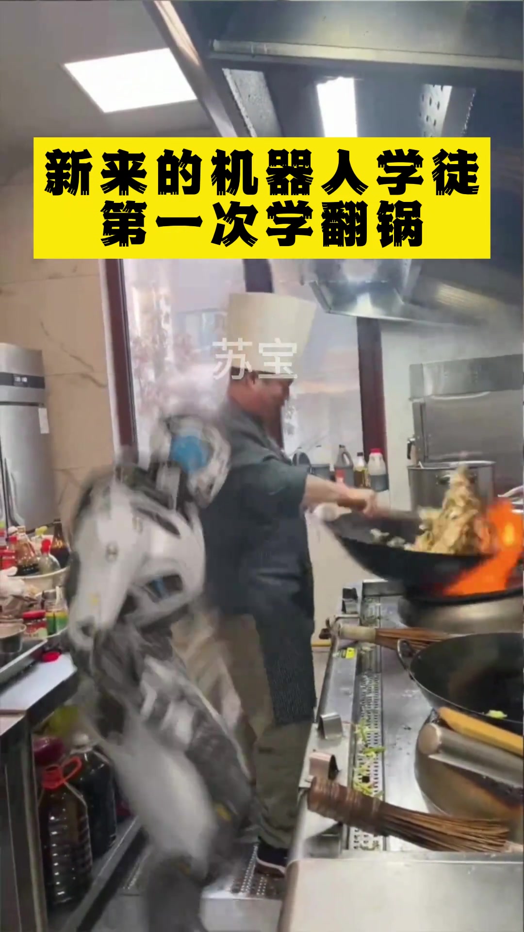 新来的学徒，第一次学翻锅总感觉哪里不对…