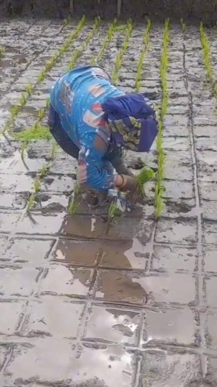《标准作业》