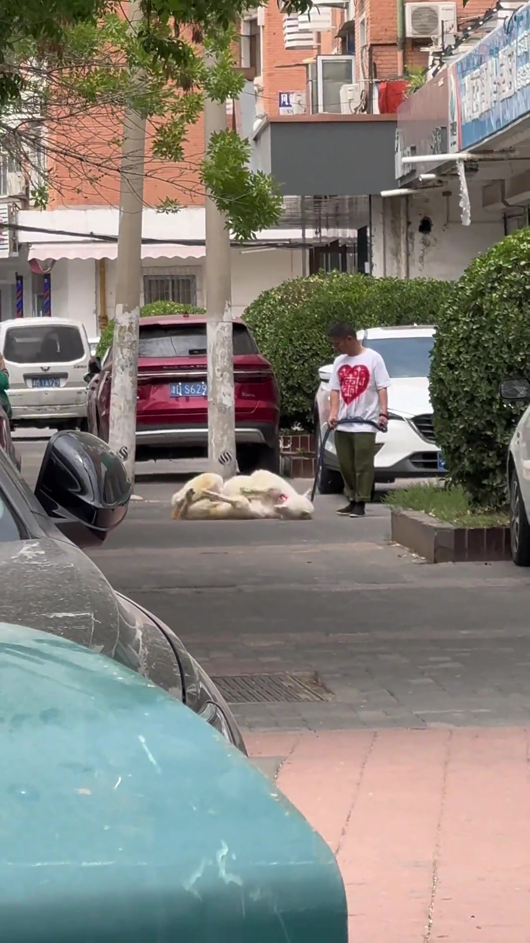 天津这地方，你别看不大，但是挺复杂的