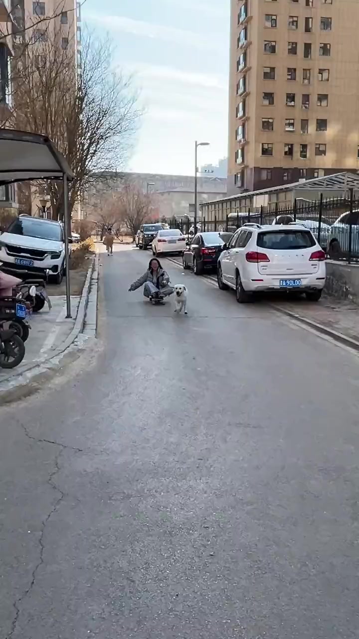 看给你开心的，结局真没让我失望