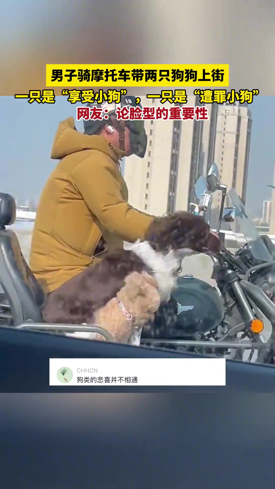 流线型和阻抗型