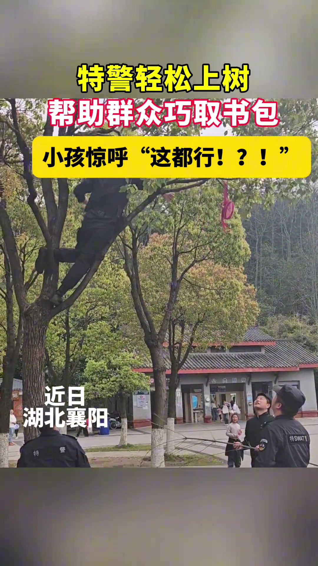 悄悄告诉你他不光可以爬树，还可以爬楼