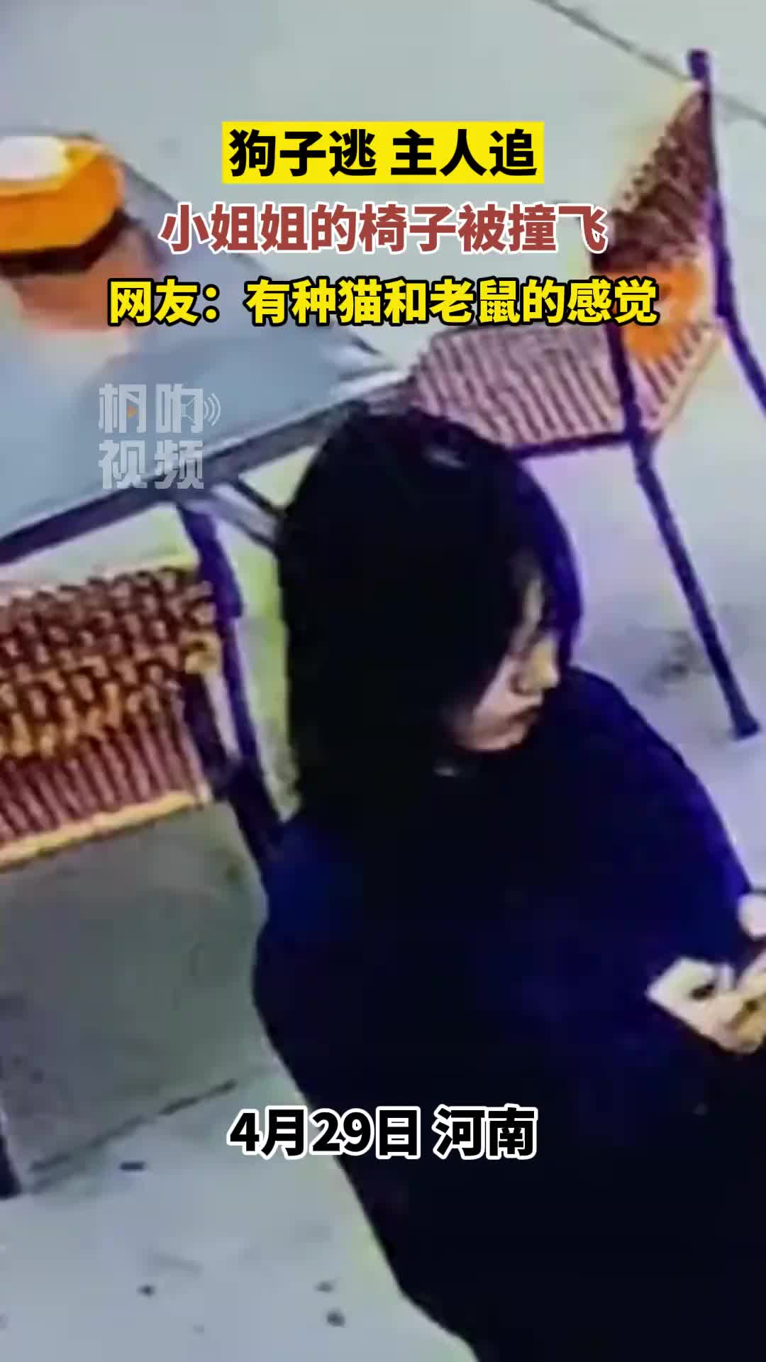 猫和老鼠不是动画片，而是纪录片
