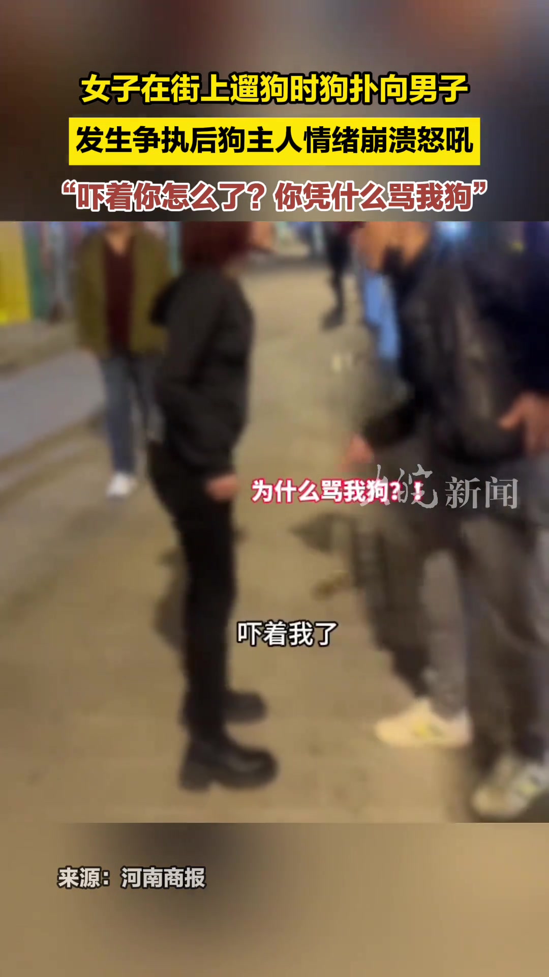 蛮不讲理，自家狗扑到人不是应该道歉吗？！