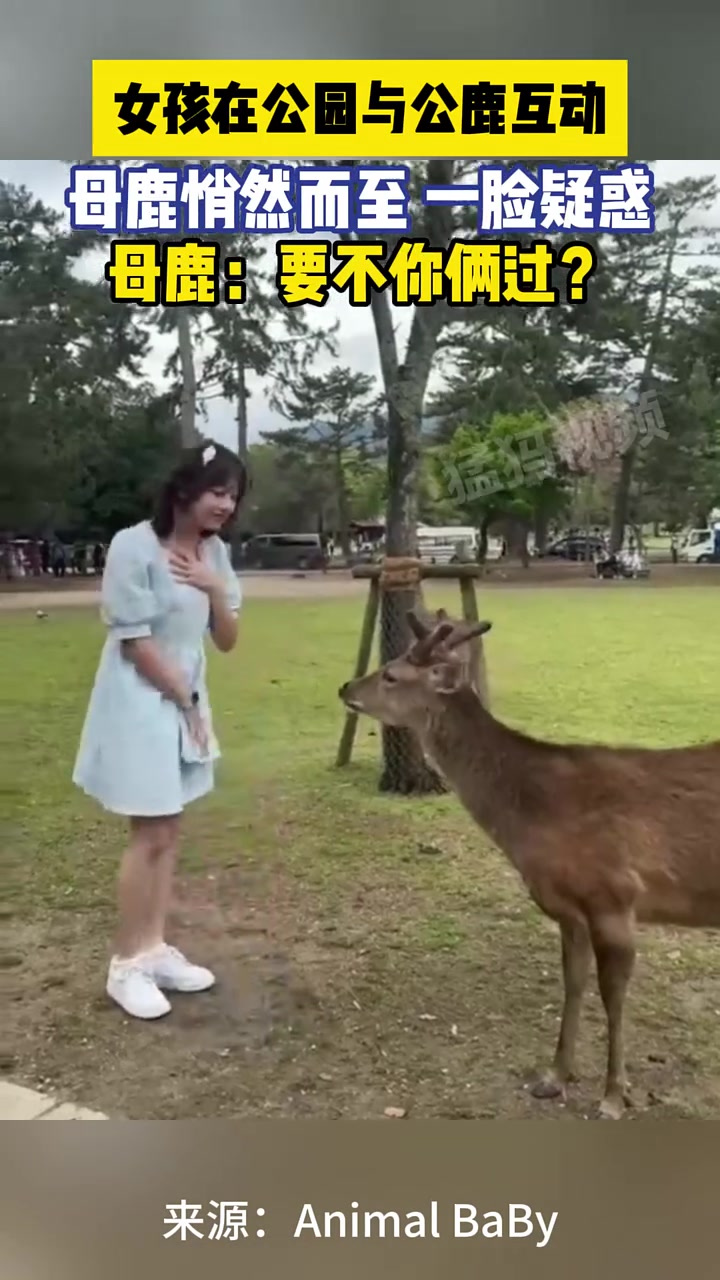 母鹿：我再不过来，你们快要入洞房了！