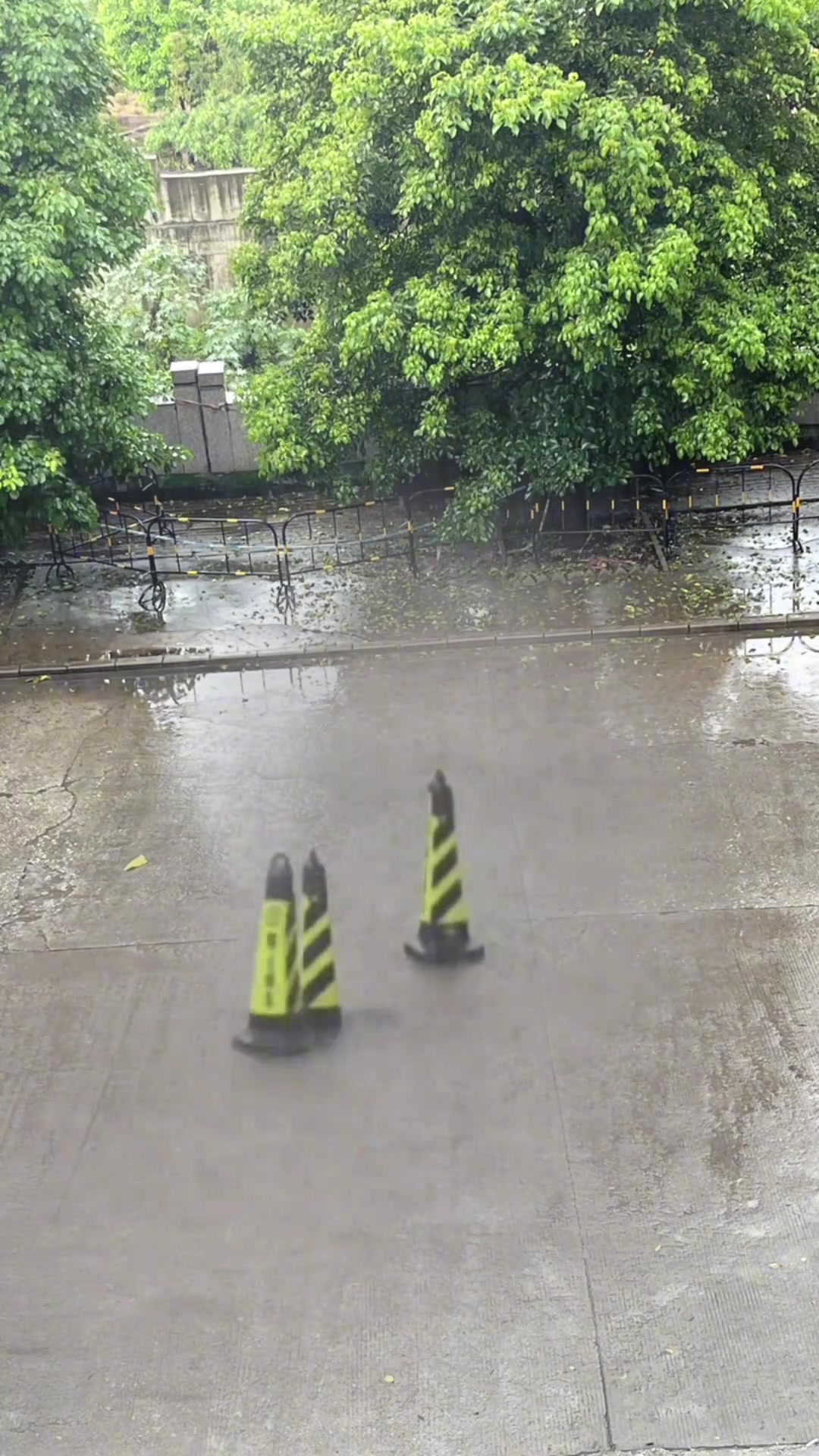 这雨下得，搞得这都开始跳舞了⋯