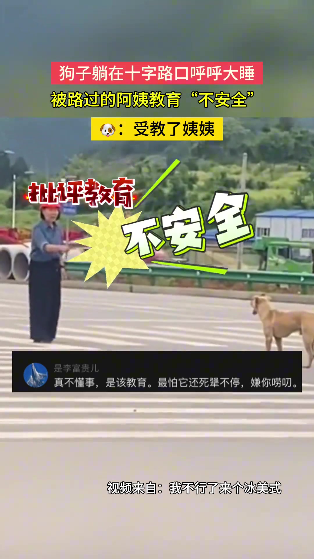 狗子躺在十字路口睡觉被教育了