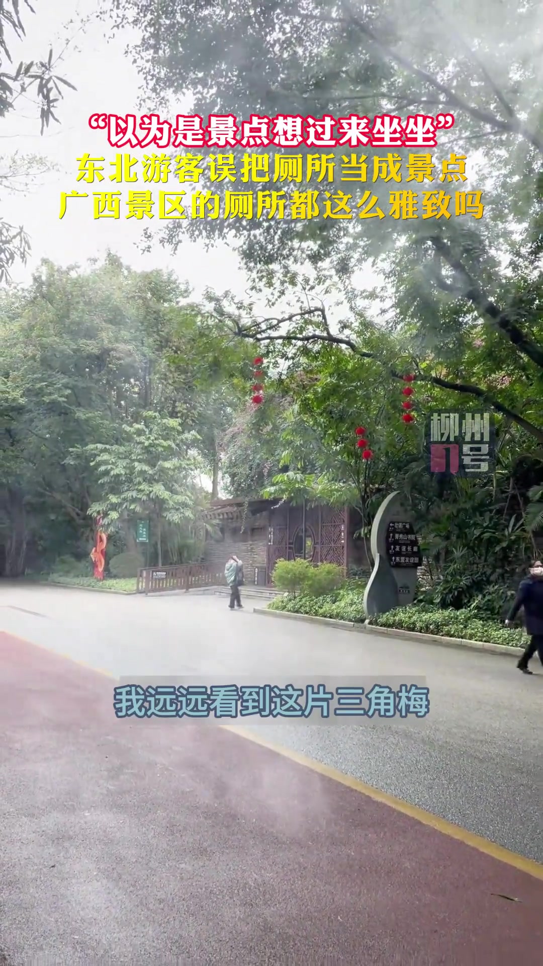 东北游客感叹广西连厕所都这么诗意