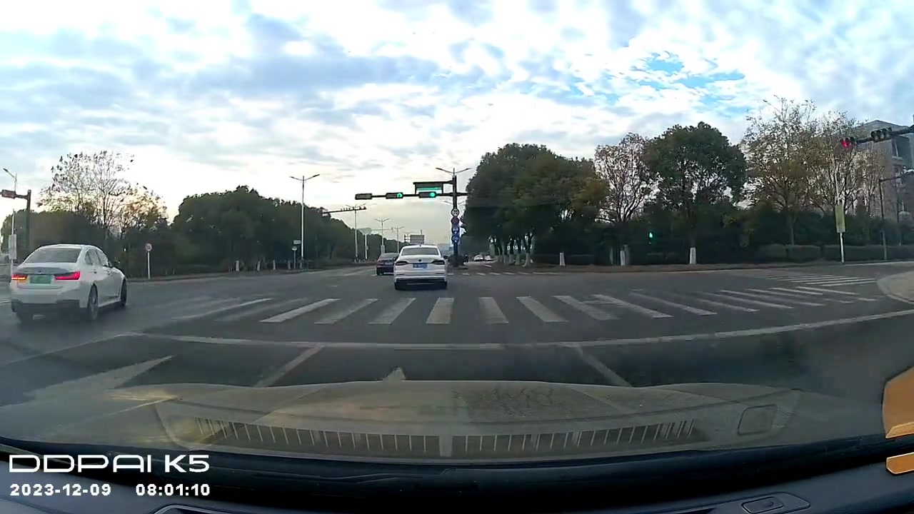眉毛下面挂两蛋，只长眼睛不管看