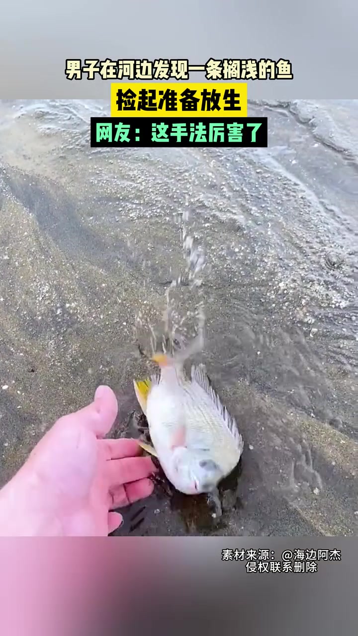 网友：这手法，厉害了！