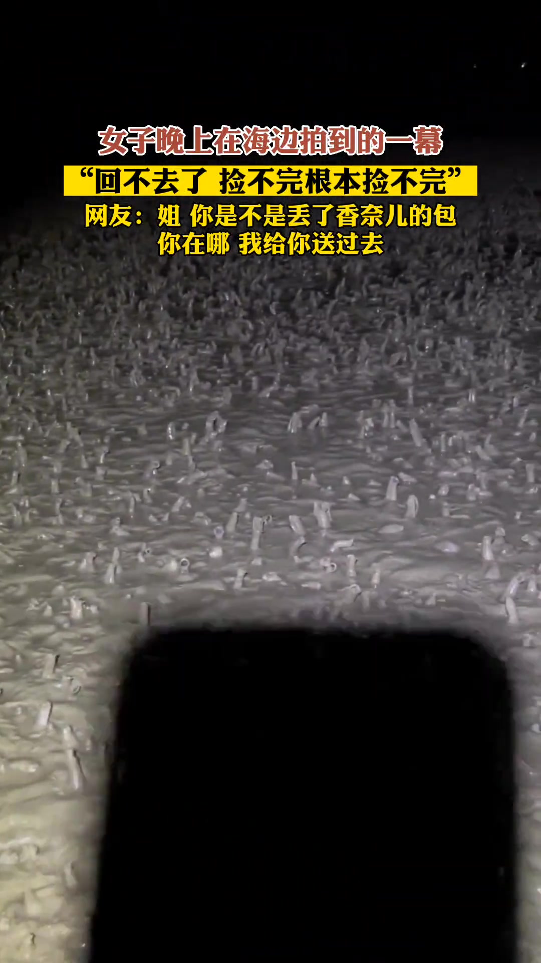 “回不去了 捡不完根本捡不完”