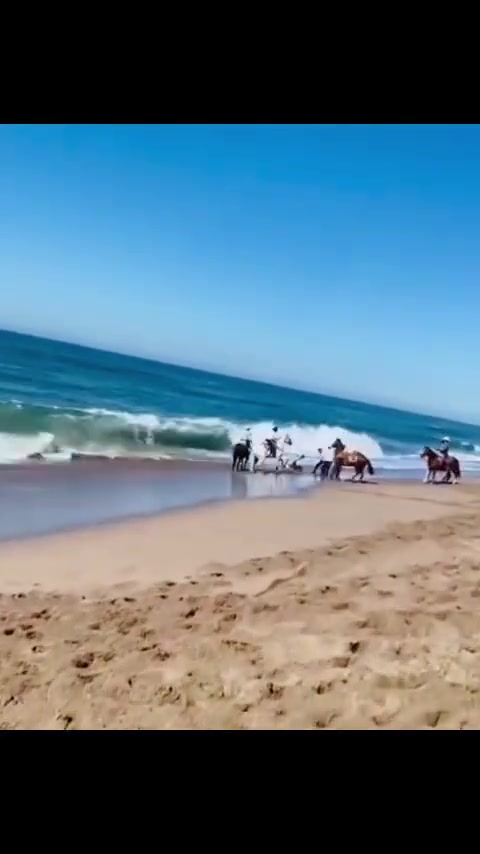 惊险！海边骑马被冲走 看得我都快急死了