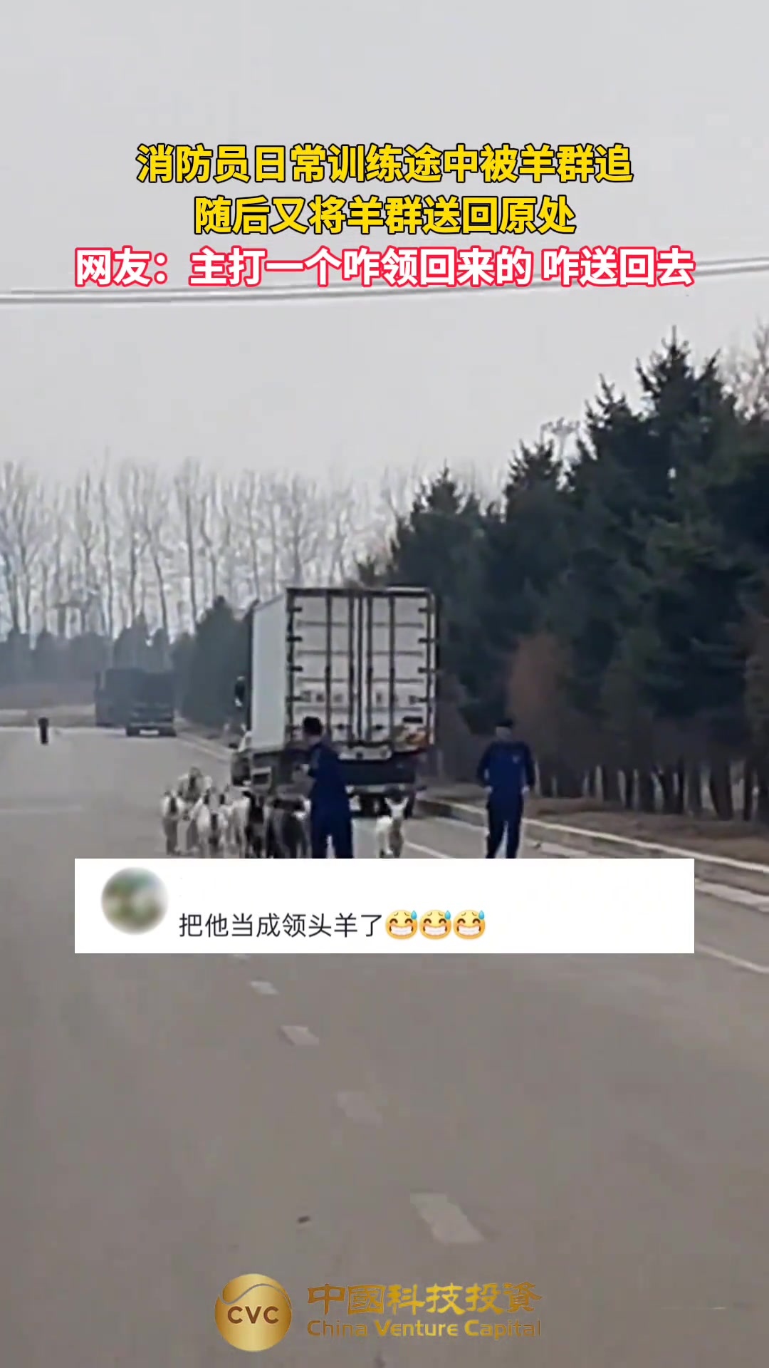这在动物界都传开了吗？