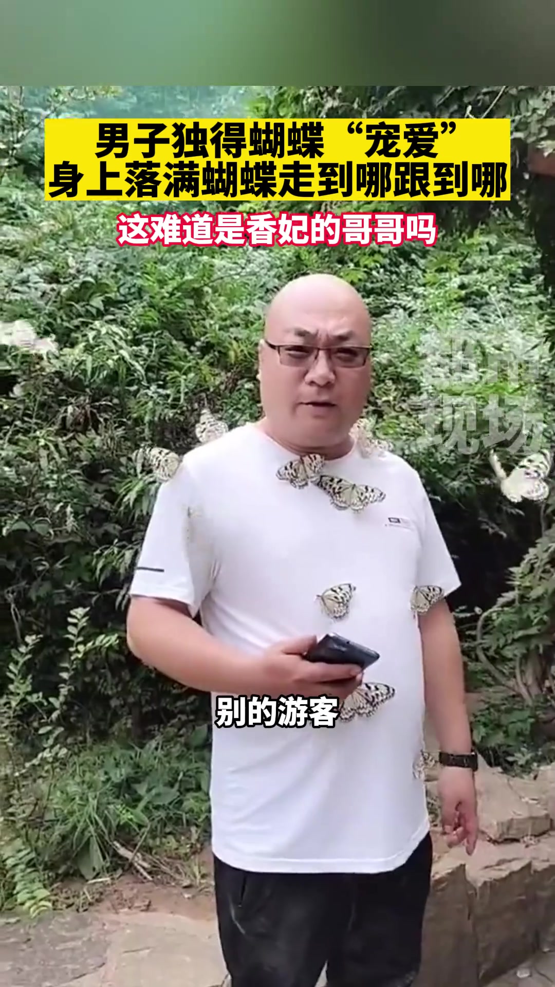 男子独得蝴蝶“宠爱” 身上落满蝴蝶走到哪跟到哪