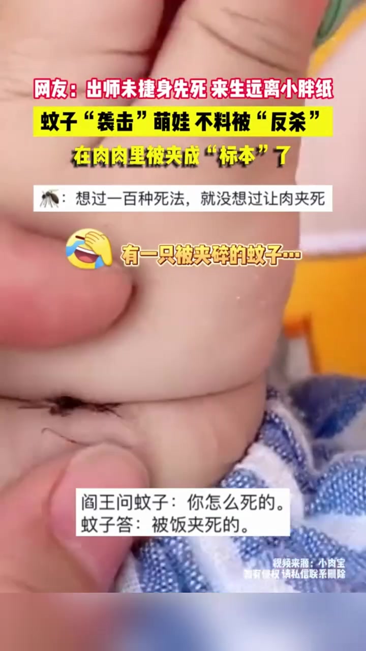 蚊子万万没想到，会以这种方式被“反杀”
