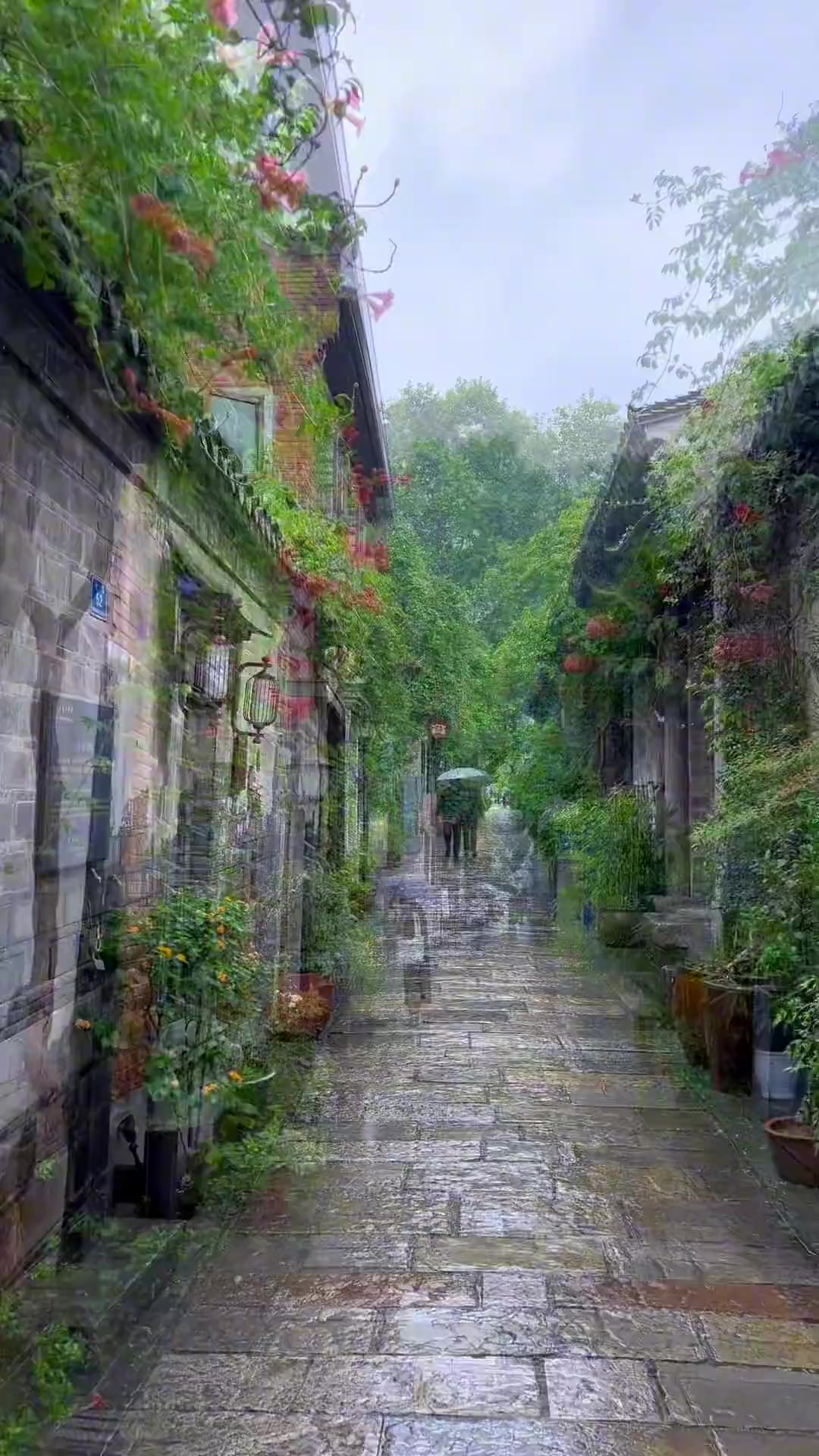 老门东的每条街巷 都藏匿着光阴的故事