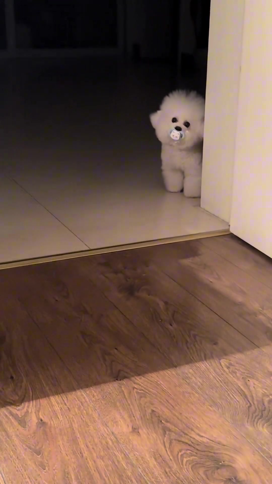 谁能拒绝一只嘤嘤怪小狗啊