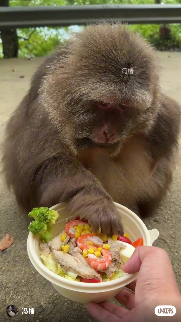 我吃轻食就这样！