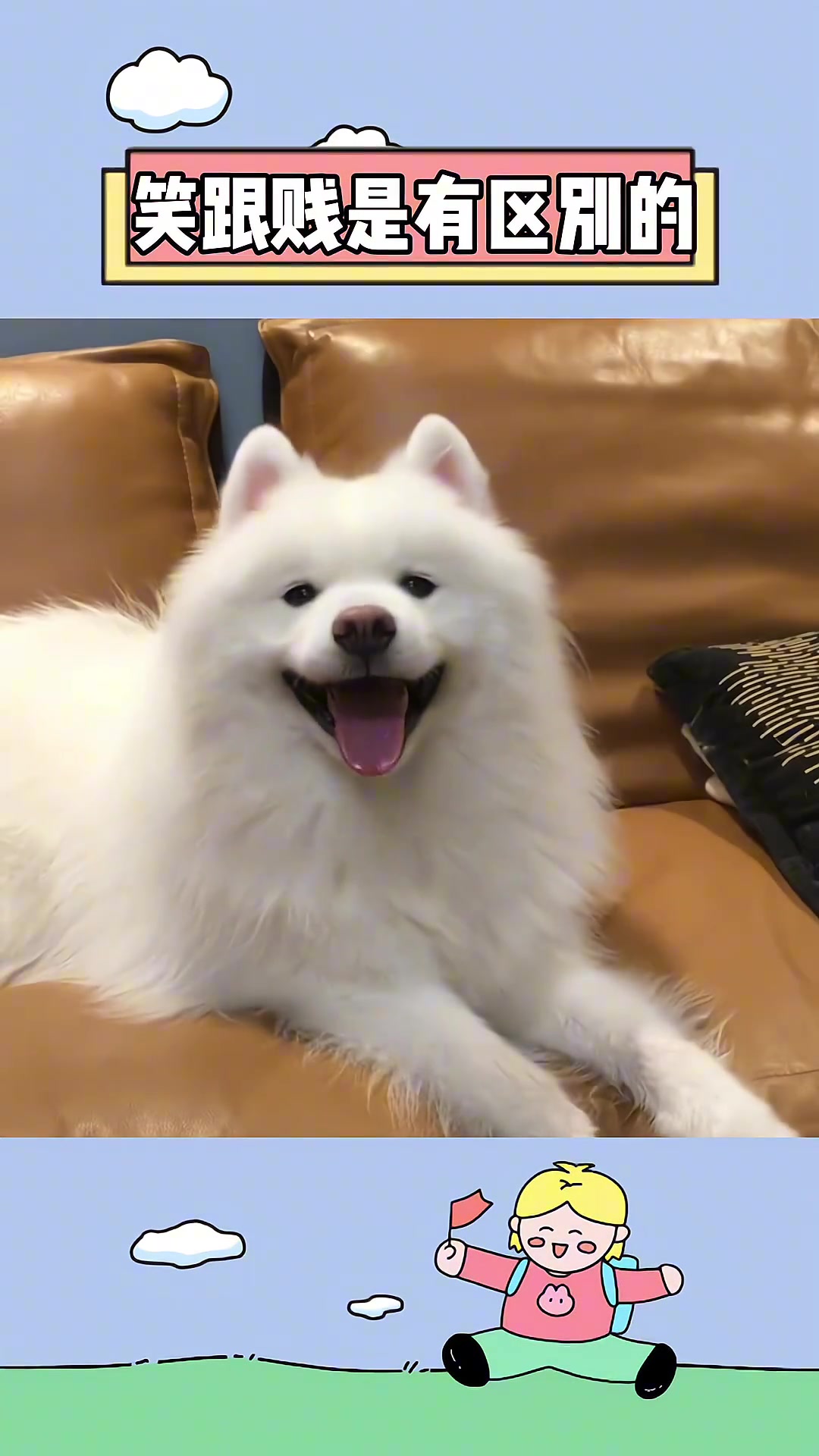 狗狗的心思都写在脸上了