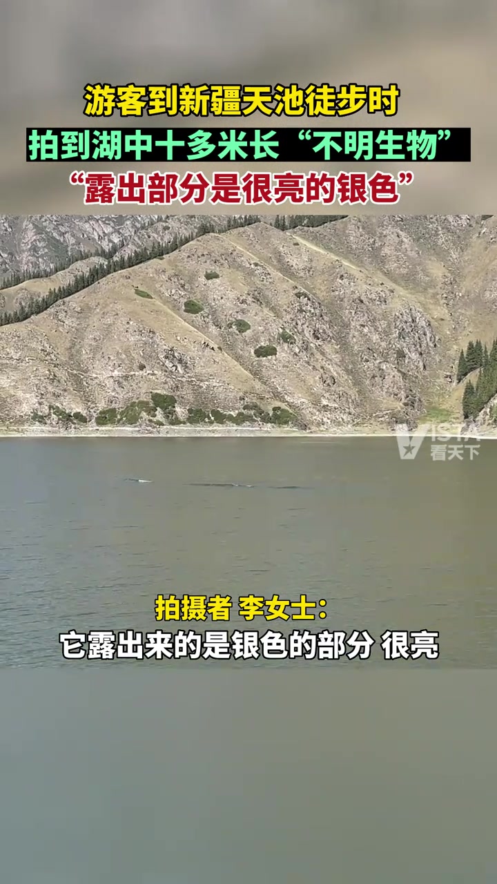 新疆惊现水怪？！吧友们知道这是什么生物吗？