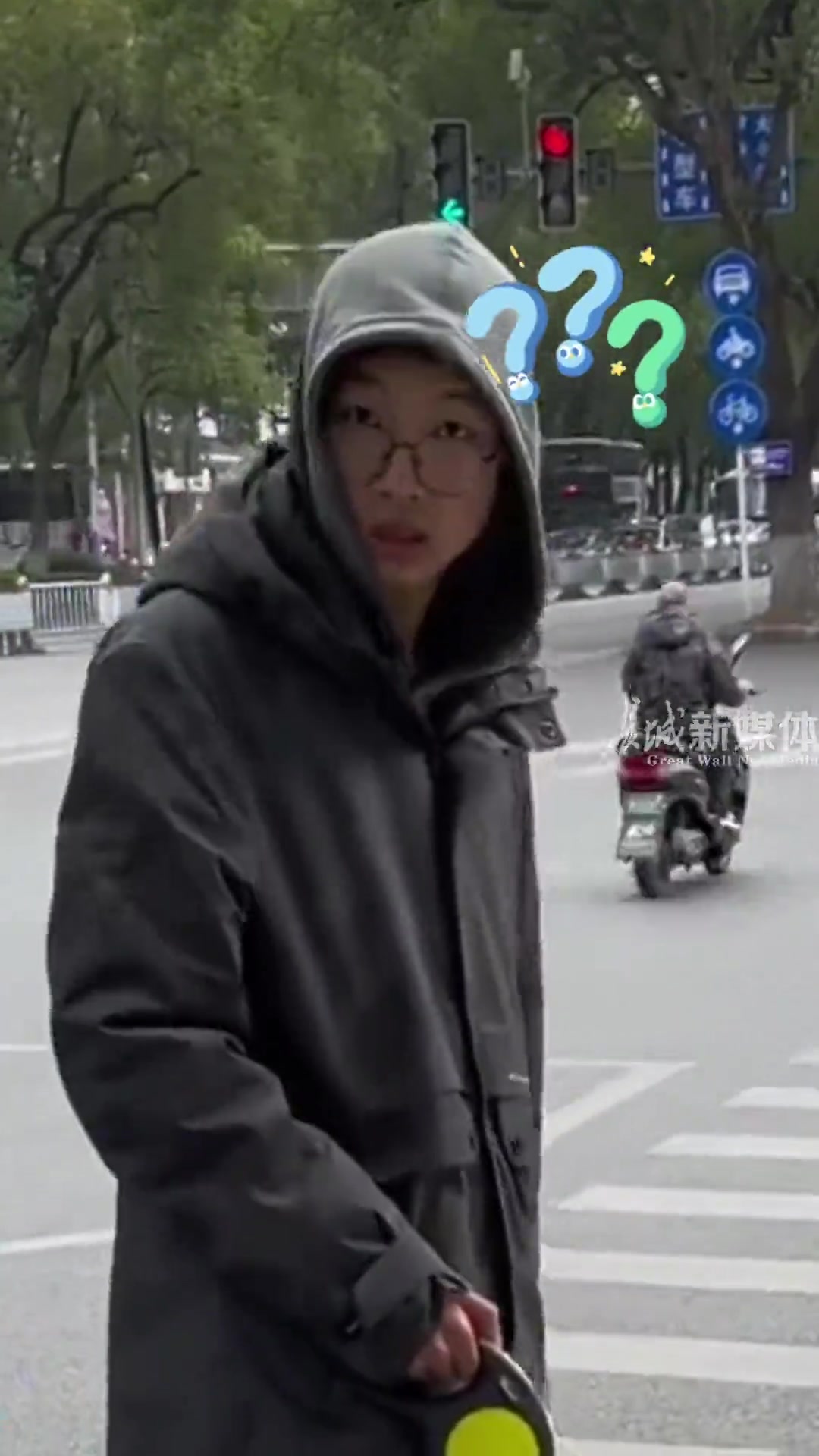 是不是也可以叫长头发的拉布拉多