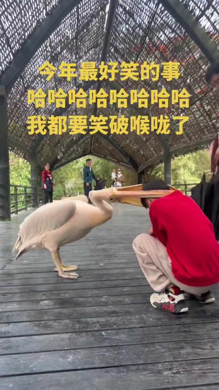 这就是醍醐灌顶吗？