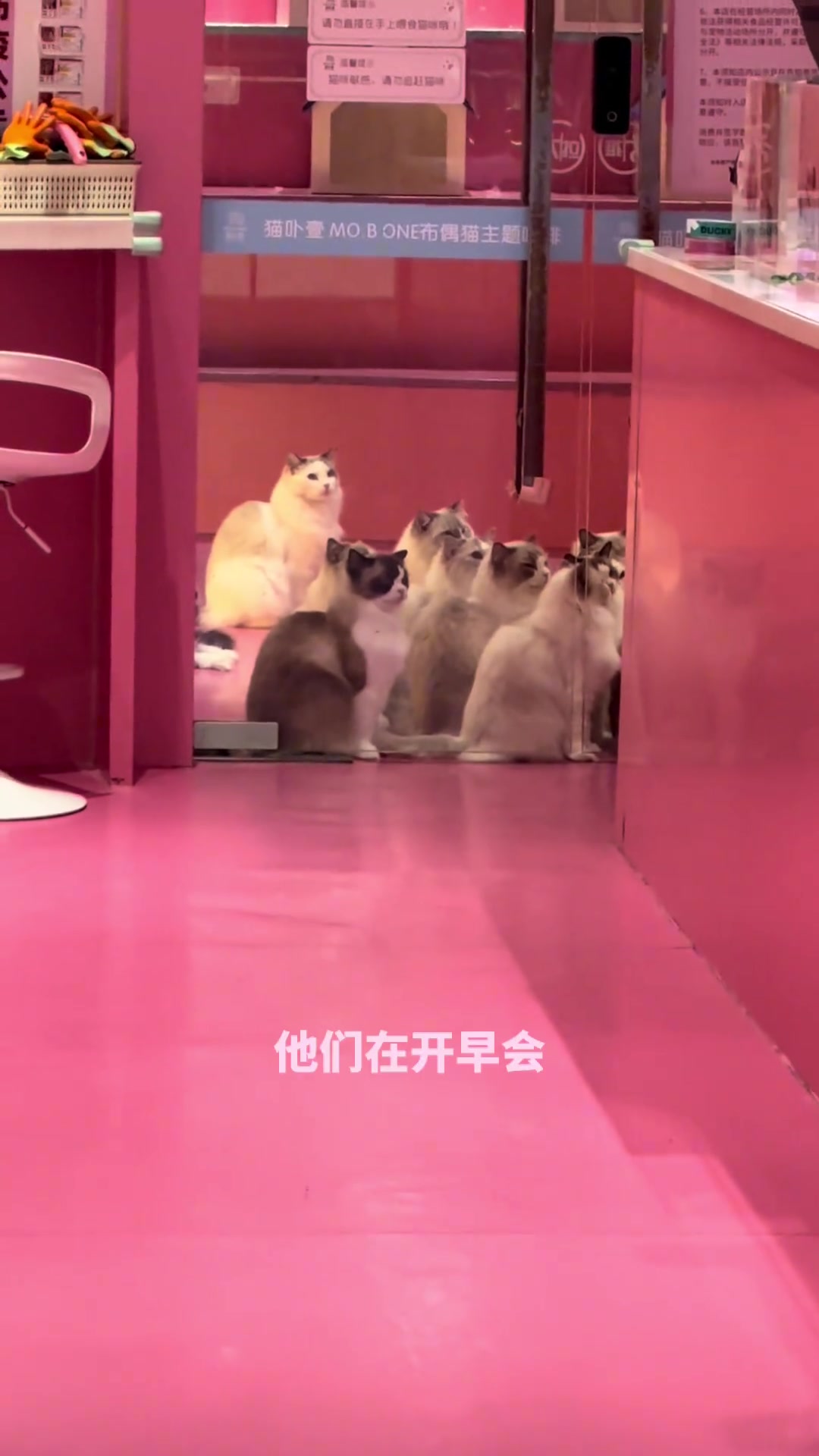 老师：难道他们都是天才？？