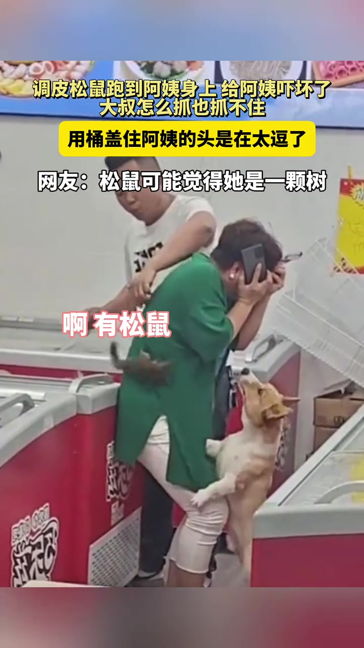 松鼠可能觉得她是一颗树