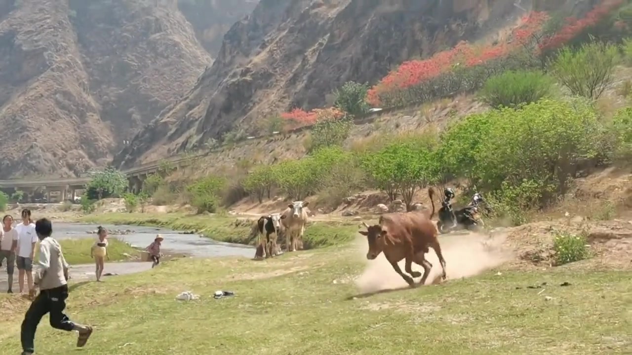 牛：刚刚就是你在笑是吧