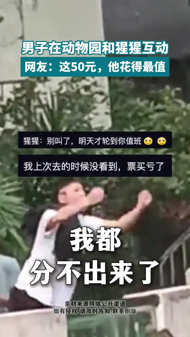 一时没有分清楚，这哪个才是猩猩呀