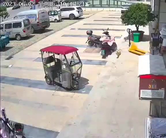 运货推车“灵车漂移”，给狗子吓的够呛